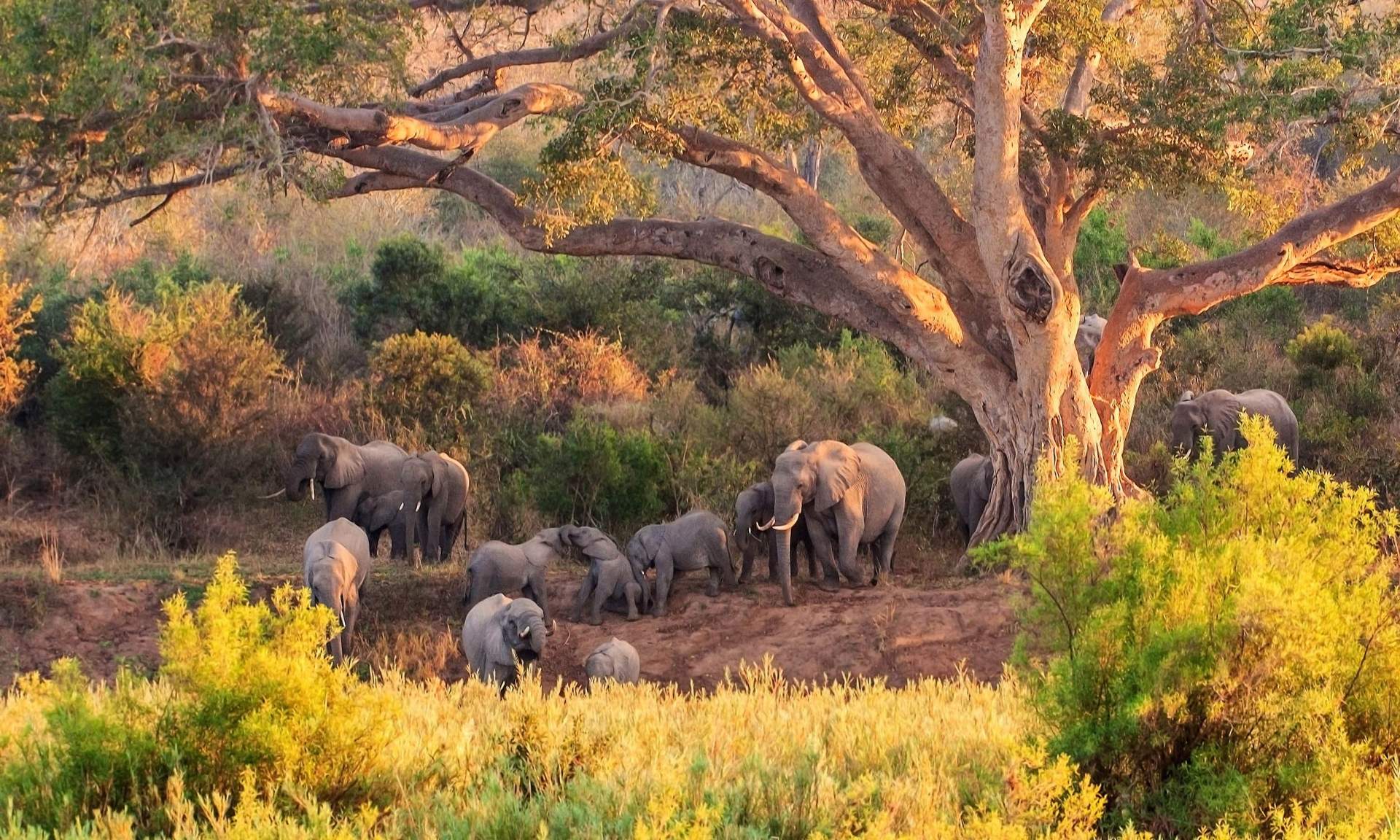 1720672517_455_14ème-plus grand-parc-national-au-monde-de-​​Sagarmata-aux-Galapagos