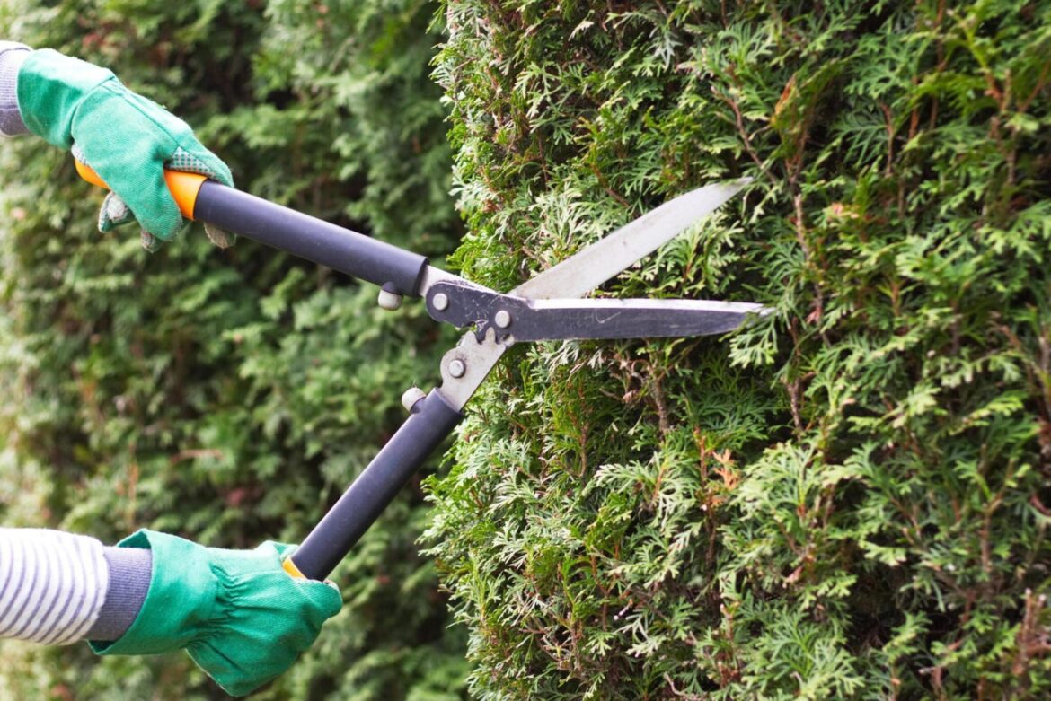 Travaux de printemps au jardin : comment bien ouvrir la saison estivale