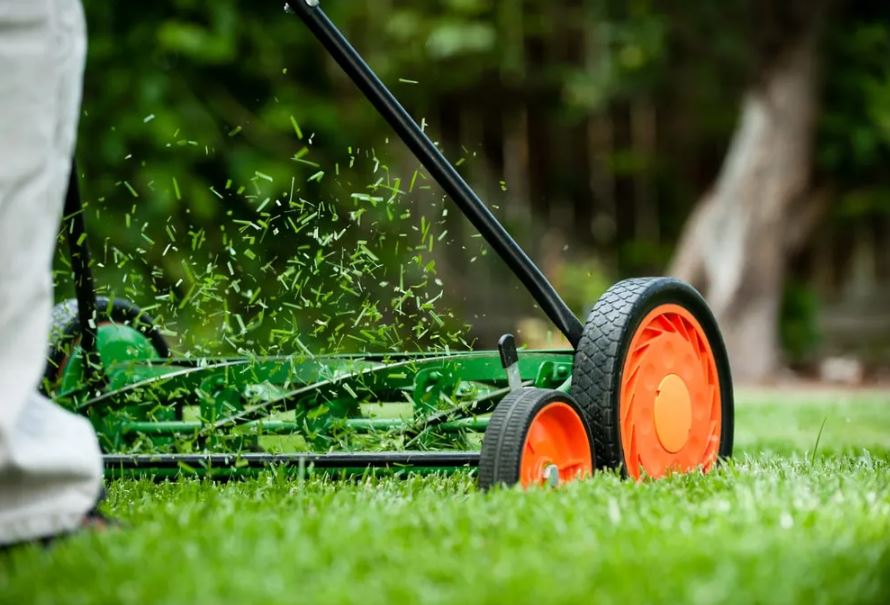 Pourquoi choisir une tondeuse à cylindre plutôt qu’une tondeuse rotative ?