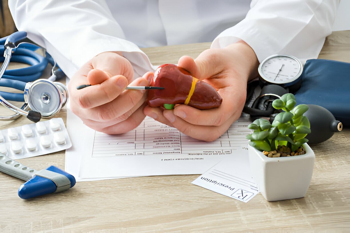 Le médecin démontre le foie