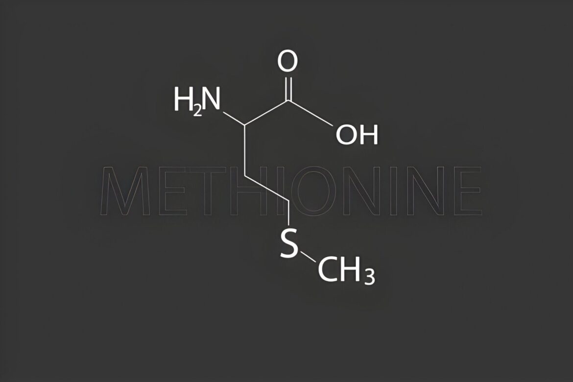 La méthionine est un acide aminé essentiel