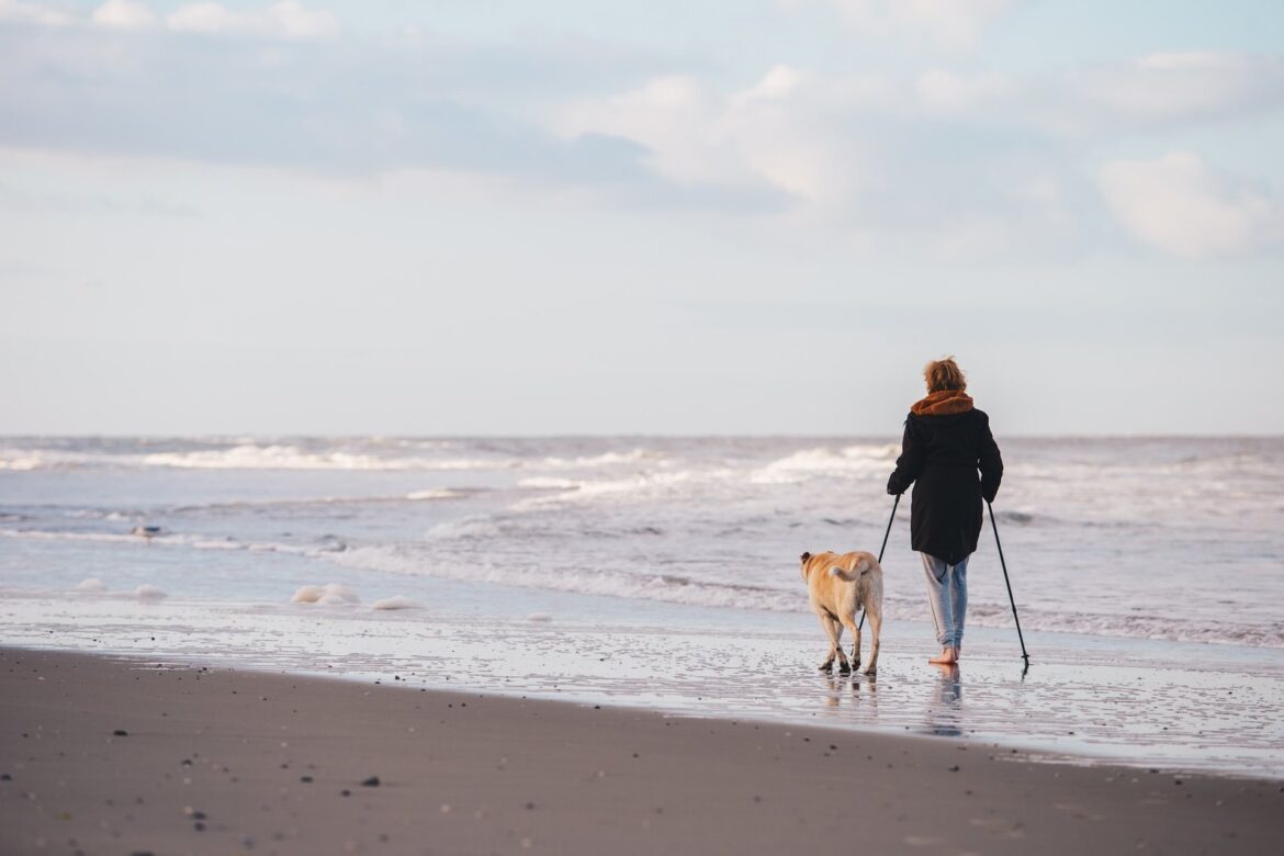 La marche nordique brûle (plus) de calories, développe les muscles et favorise la stabilité