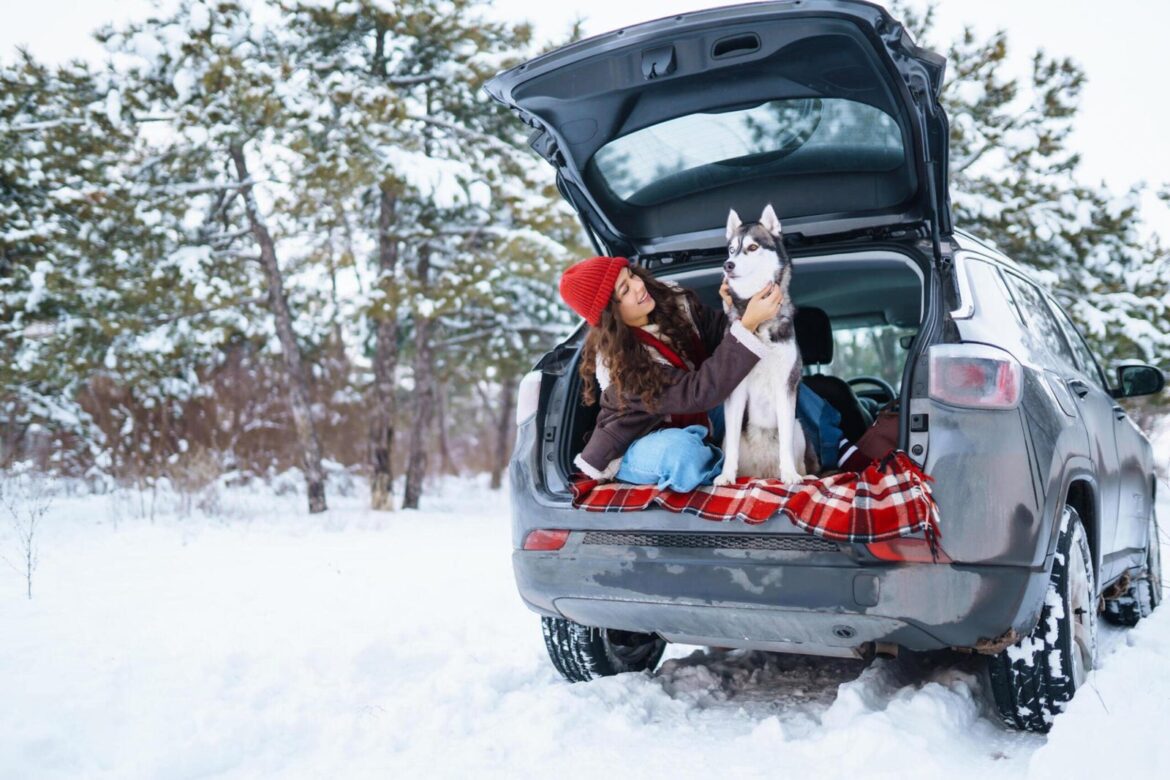 Meilleurs conseils pour la conduite hivernale